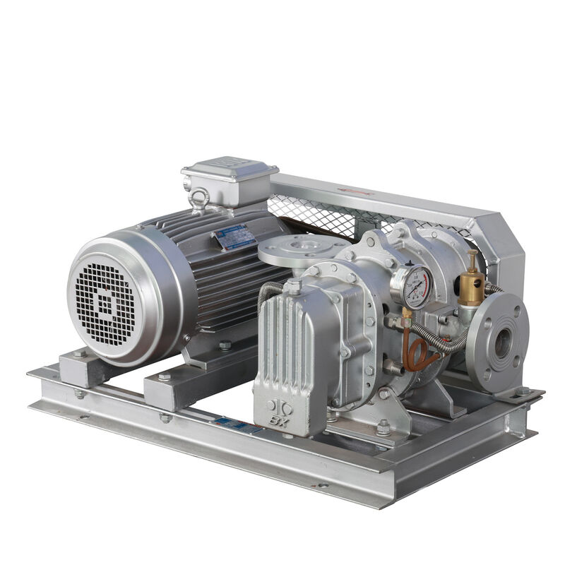 BX100  4'' 3.18-11.74 m³/min 0.1-0.7 kgf/cm² Φυσητήρας Roots Σειράς BX από ανοξείδωτο χάλυβα