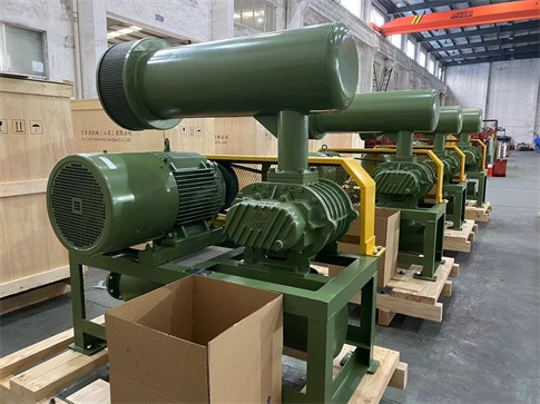 Χυτοσίδηρος 15KW Τρεις-Λοβικές ρίζες αναπνευστήρας για την βιομηχανική και μεταφορική παροχή οξυγόνου