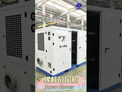 BLG Στρογγυλοπνευστήρας ρίζων