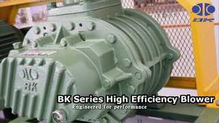 BK Series Roots Blower