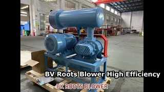 BV Roots Blower